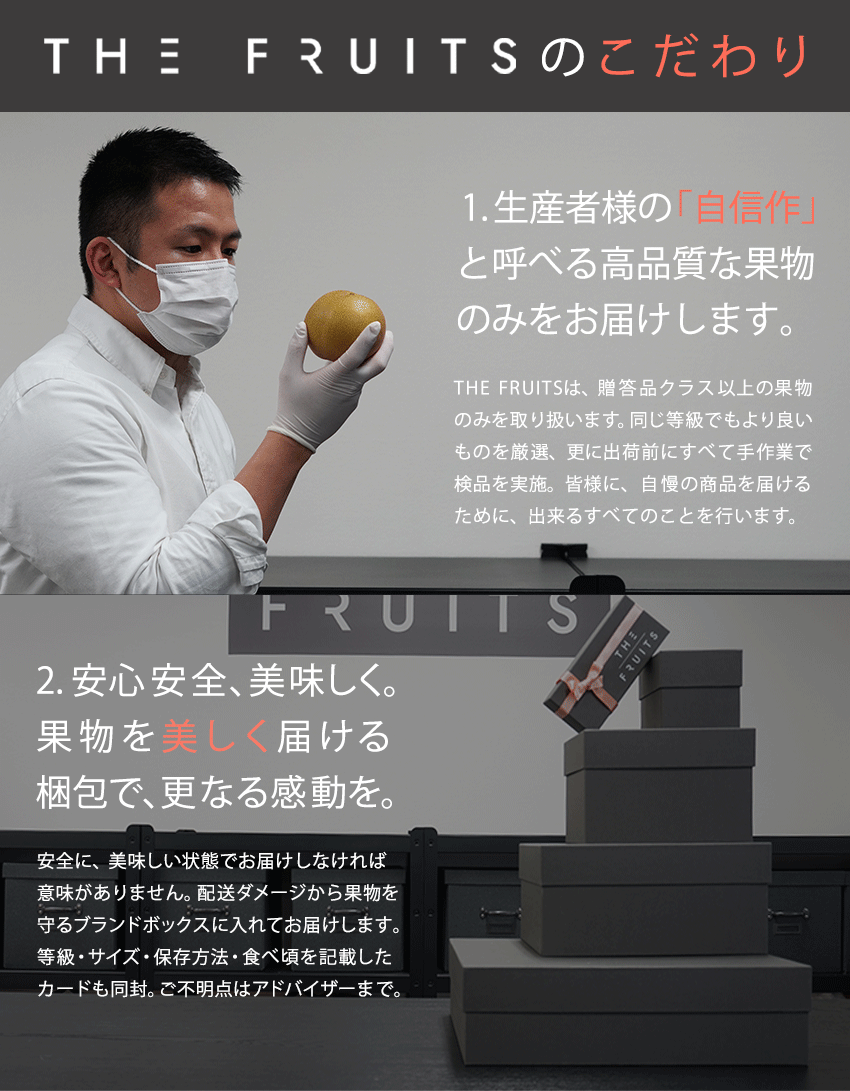 THE FRUITS  PEAR 南水のイメージ