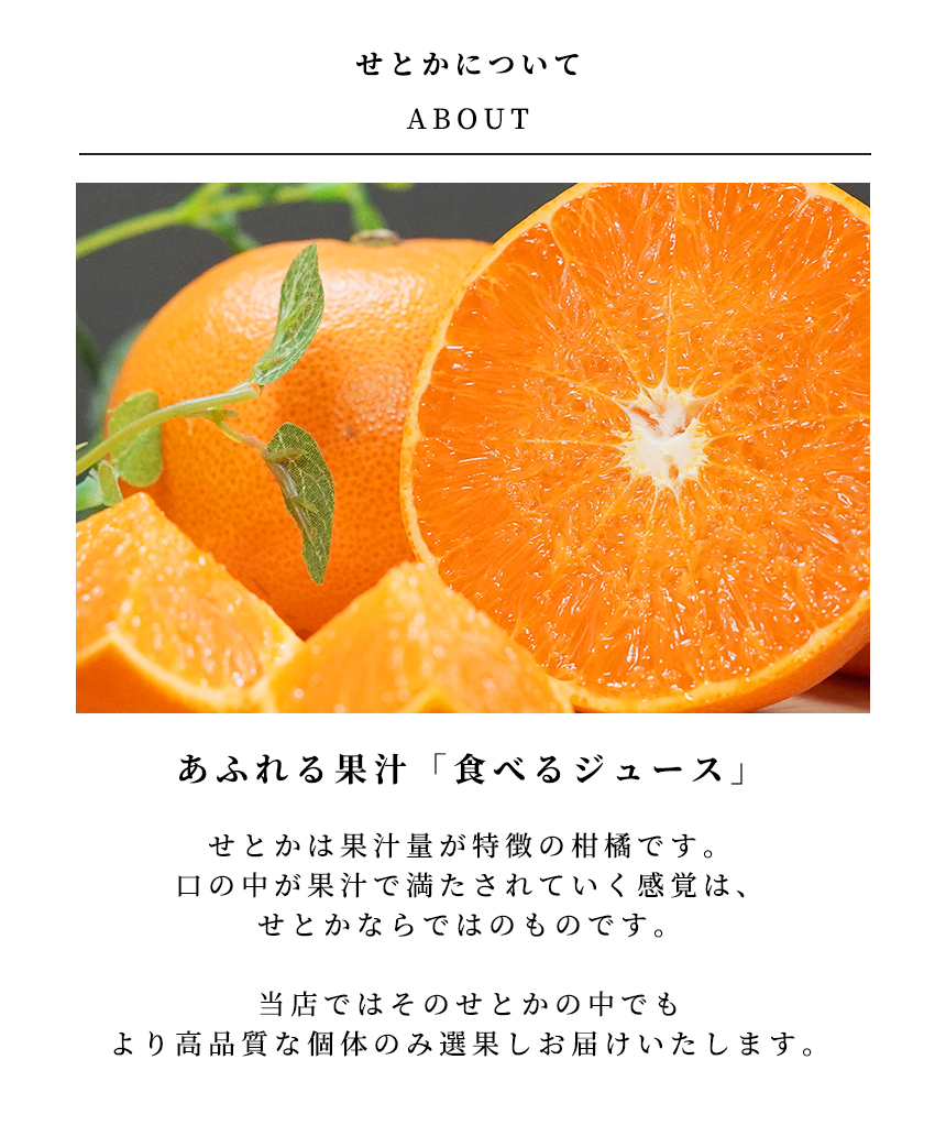 THE FRUITS せとかのイメージ