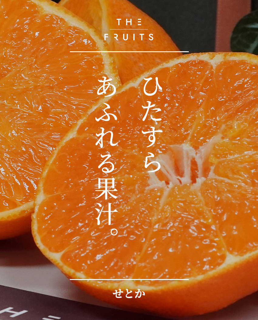 THE FRUITS せとかのイメージ