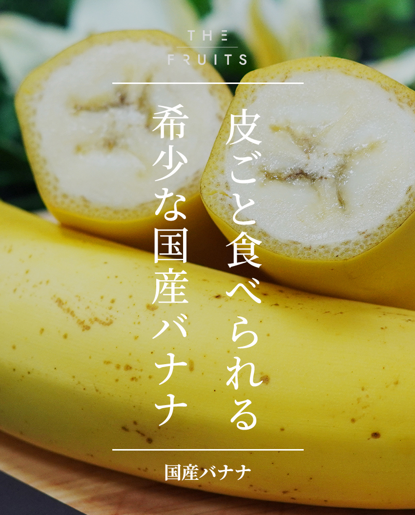 THE FRUITS 国産バナナのイメージ