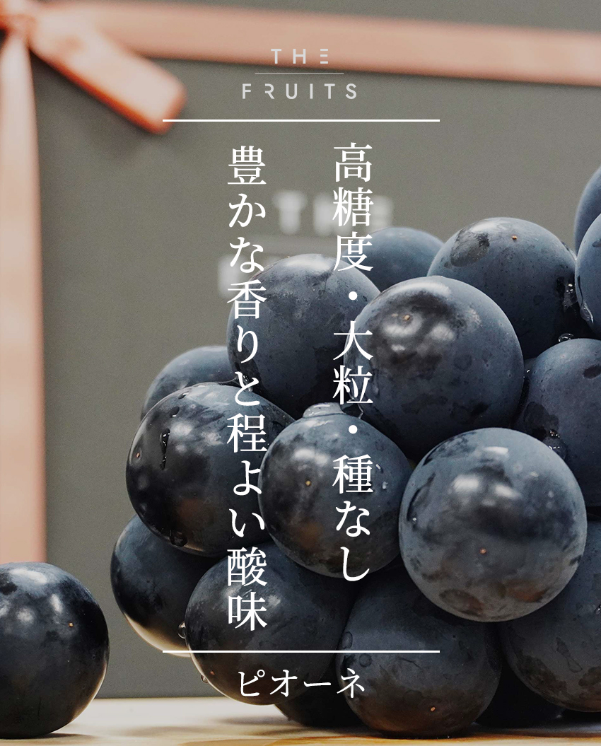 THE FRUITS PIONEのイメージ