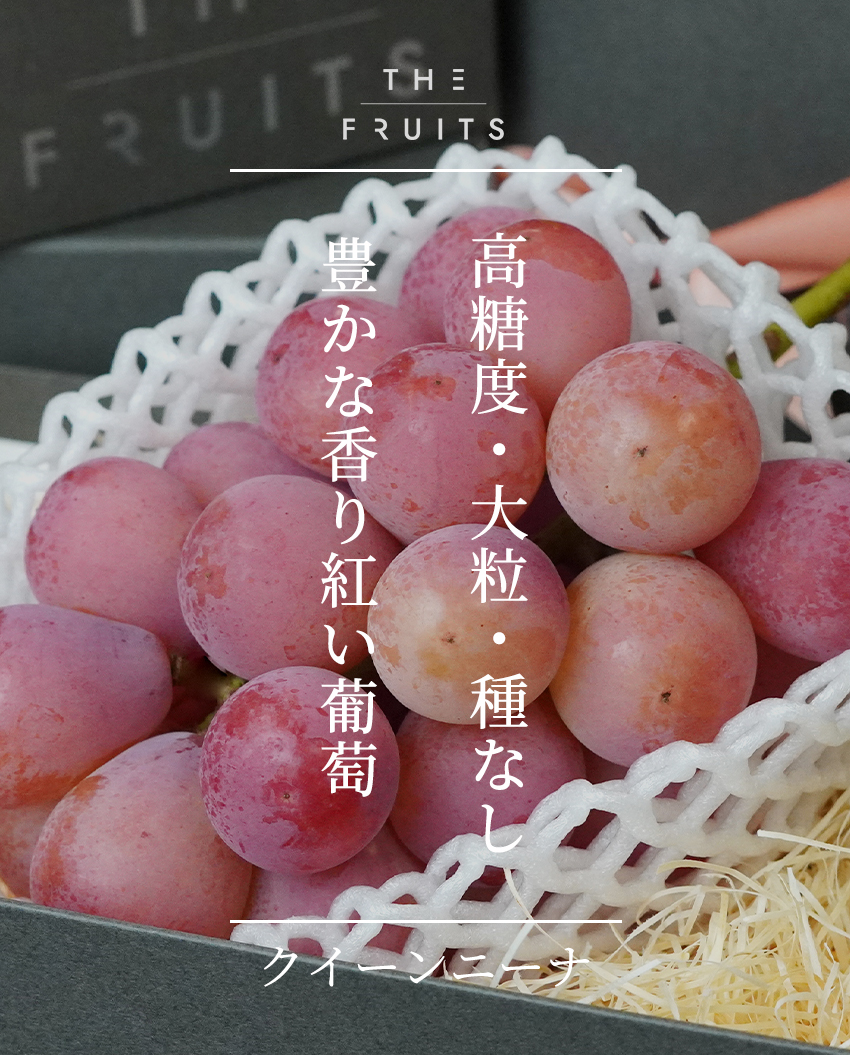 THE FRUITS クイーンニーナのイメージ