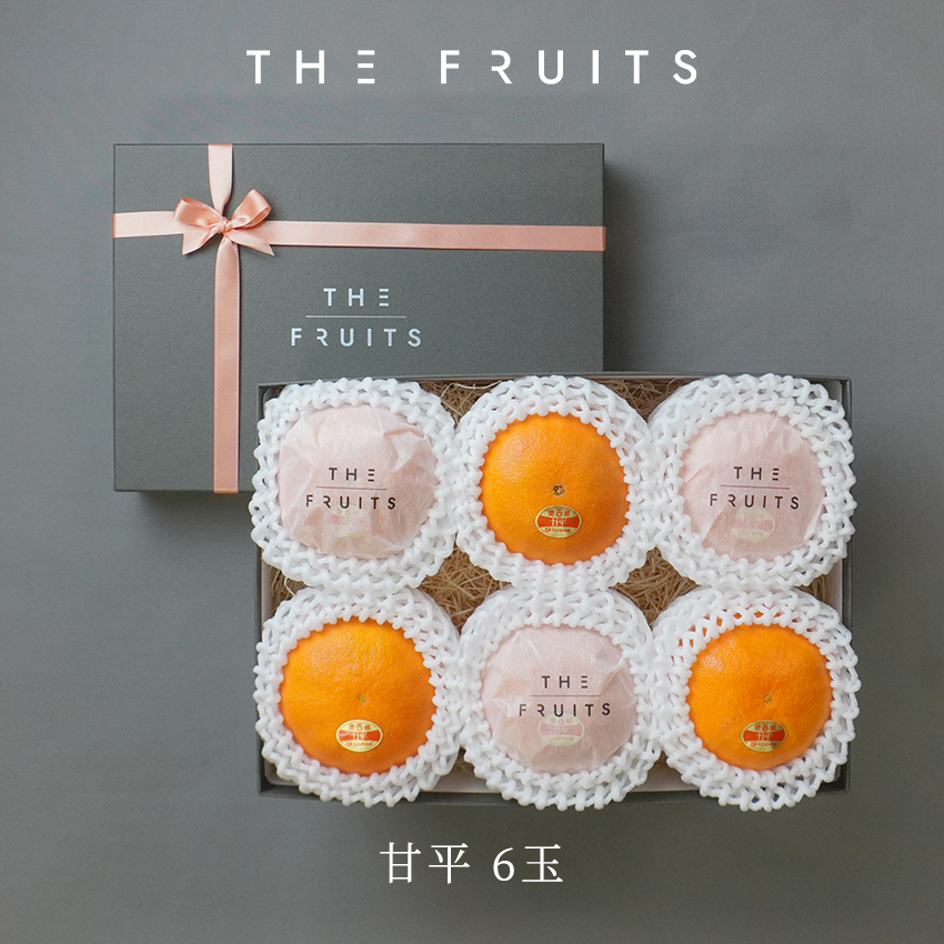 THE FRUITS 甘平