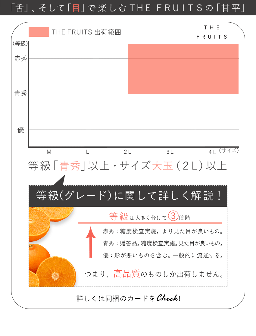 THE FRUITS 甘平のイメージ