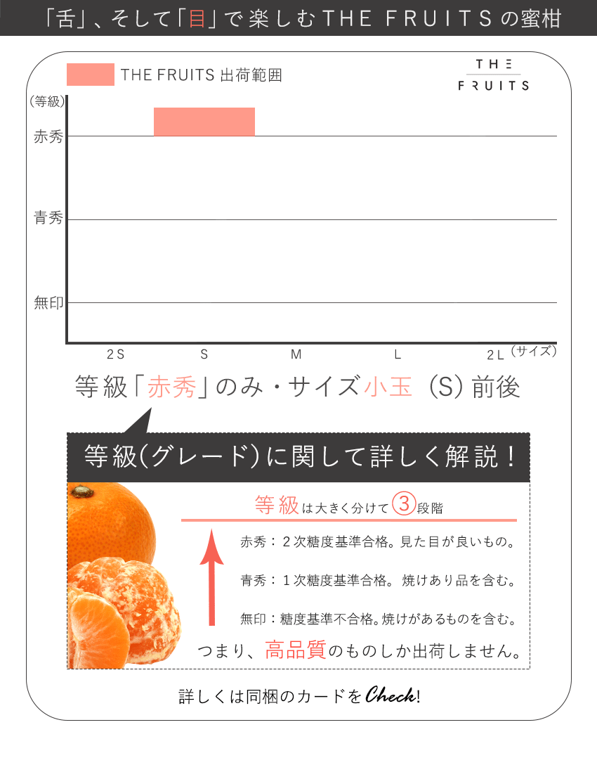 THE FRUITS 蜜柑のイメージ