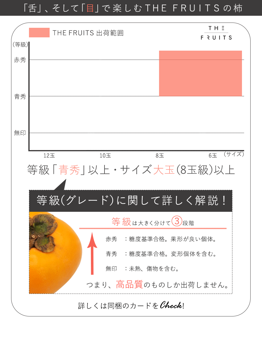 THE FRUITS 輝太郎柿のイメージ